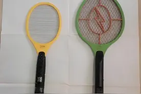 可灭果蝇的电蚊拍：谈谈电蚊拍的选购图片