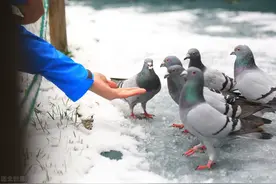 说话的演变图片