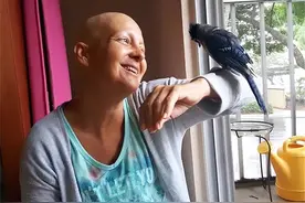 9年前姑娘救了一只鸟，患癌后鸟儿救活了她图片