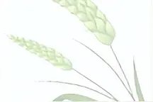 部编四年级下册语文重点：人物性格特点+作者资料及课文出处归纳图片