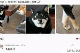 姑娘别装了，你男朋友眼镜上的倒影已经把你出卖了，太尴尬了图片