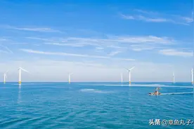 极品婆婆（232）——老太婆的婚姻保卫战图片