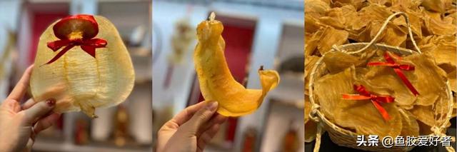 哪种花胶比较好呢 哪一种花胶比较好