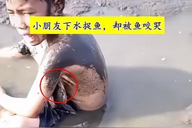 什么鱼这么凶？小孩下水抓鱼，却被大鱼咬哭，家长：死咬不放图片