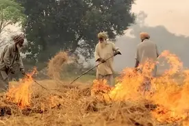 亚洲十大污染城市印度占了八个，民众燃烧农作物是最大隐患图片