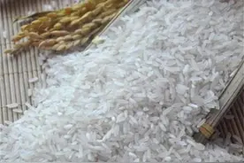 籼米和粳米哪个煮饭好吃？籼米和粳米，哪种煮饭更美味？图片