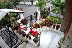 家用监控摄像头怎么选？2022年家用摄像头选购测评图片