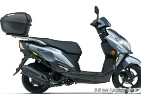 uy,AFR和虎鲨你更喜欢哪一款图片