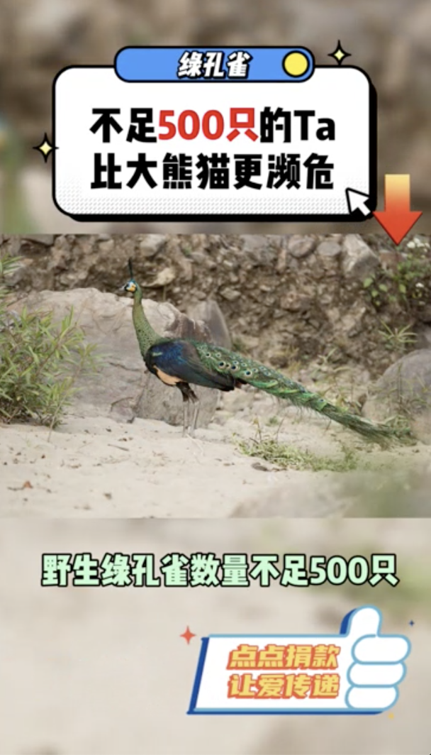 xѧƽӪʱġ˲Żġ롰˲Żš