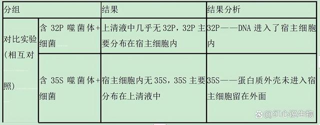 高中生物-基因的本质与表达