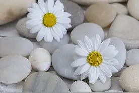 不回你微信的人，大多是这几种心理图片