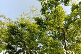 故事：19岁男子进入一个村庄，发现村庄里全是女人，没有男人图片