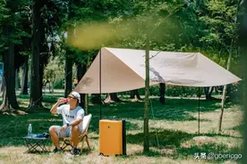 盐城大丰，麋鹿故乡的夏日治愈之旅图片