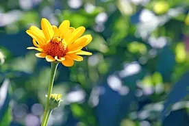 两个人缘尽了，其实有这些征兆，不容忽视图片