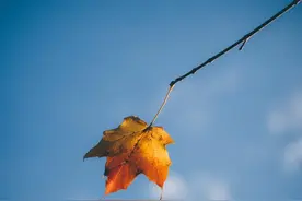 “断联”后，男人能忍多久不找你？图片