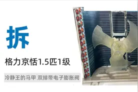 拆格力空调京恬1.5匹1级 冷静王的马甲 双排带电子膨胀阀图片