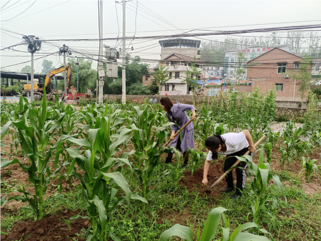 四川省民生研究会新媒体中心-官网