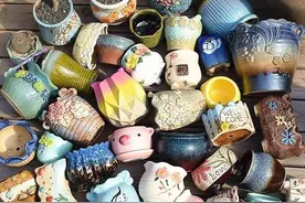 谈一谈，塑料盆和陶瓷盆，哪个养花最好？图片