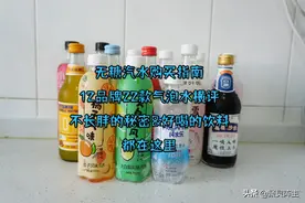 无糖汽水购买指南，不长胖的秘密&好喝的饮料，都在这里图片