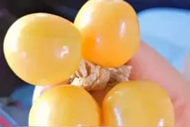 “龙珠果”还是“珍珠果”？浓郁的奶香味，儿时的味道图片