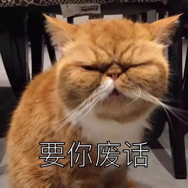 关于圆周率π，你不知道的3x1x4个真相