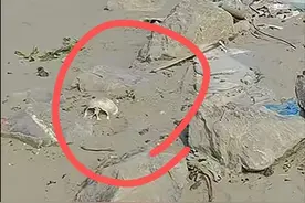 网友在长江河床发现人类头骨，警方：刑侦大队已勘验图片