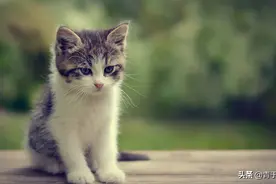 余光中10个温柔的句子，含有你对人生困惑的答案图片