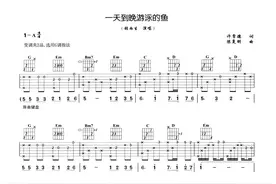 张雨生《一天到晚游泳的鱼》吉他谱图片