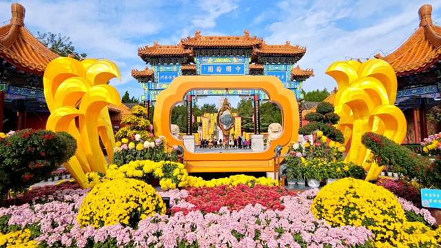 待到重阳日，还来开封赏菊花