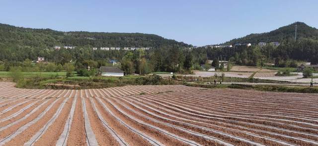 四川省民生研究会新媒体中心-官网