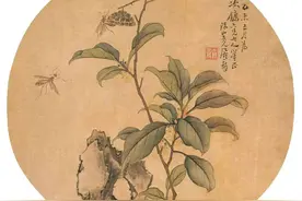 控制情绪的办法，是稳住自己图片