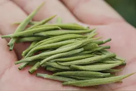 绿茶联赛 ▏毛尖西游记？汉中仙毫茶与都匀毛尖对冲评测图片