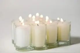 什么是蜂蜡？图片