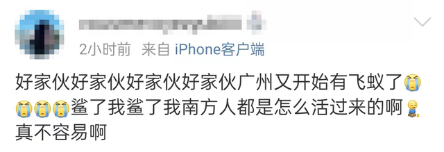 下雨前好多虫子怎么办