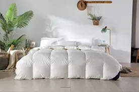 科普｜棉被、蚕丝被、羽绒被、羊毛被，到底哪个好？图片