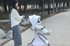 多贵的婴儿车才算贵，婴儿车有必要买贵的吗？图片