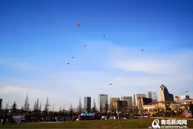 春风吹 纸鸢飞 这些乘公交直达的放风筝好去处不容错过！图片