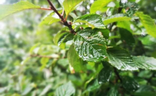 刚刚，营口最新雨情数据发布！
