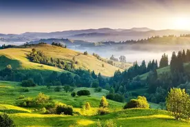 12个成语，冷门而惊艳，能认识一半，就很厉害了!图片