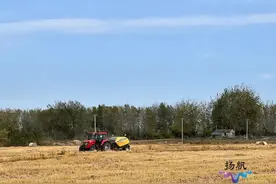 扬州：变废为宝效率高 秸秆离田有妙用图片