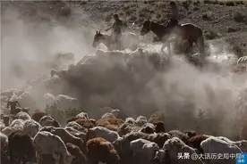 聊聊中国人吃猪肉：猪肉的历史地位经历了哪些升降？图片