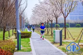 我们的新时代 | 从盐碱滩到网红地，他见证着“绿色禁区”的蝶变之路图片