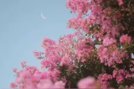 熟读人性才知道：女人，需要的爱很现实！图片