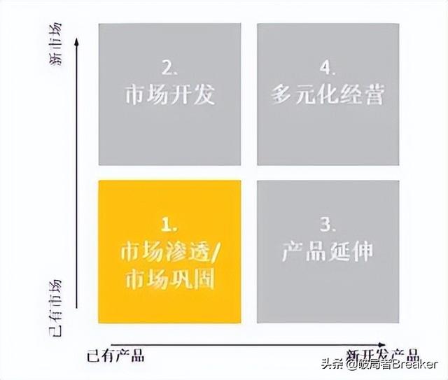 安索夫多角化战略翻译
