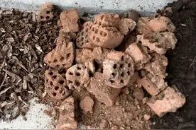 养花时“加点它”，盆土更疏松透气，根系壮，开花多，花色艳图片