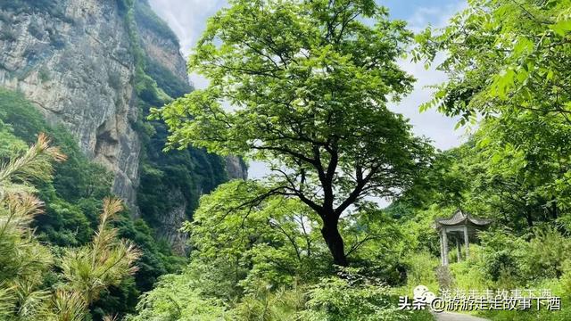 西北小众秘境：周祖陵、北石窟、崆峒山、龙门洞，你去过吗？