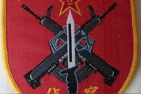 中国军衔上的枪是什么型号？这些部队纹章也太有趣了图片