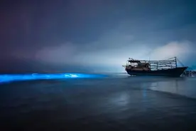 为了看西涌蓝眼泪，多少深圳人凌晨被堵在路上流眼泪图片
