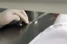 将干细胞送上太空！瑞金医院王蕾团队探索干细胞在太空中的分化潜能图片
