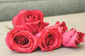 女人有了异心，根本藏不住，这三点迹象很明显图片